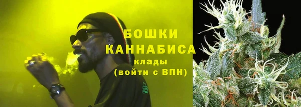 крисы Ростов