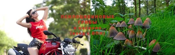 COCAINE Россошь